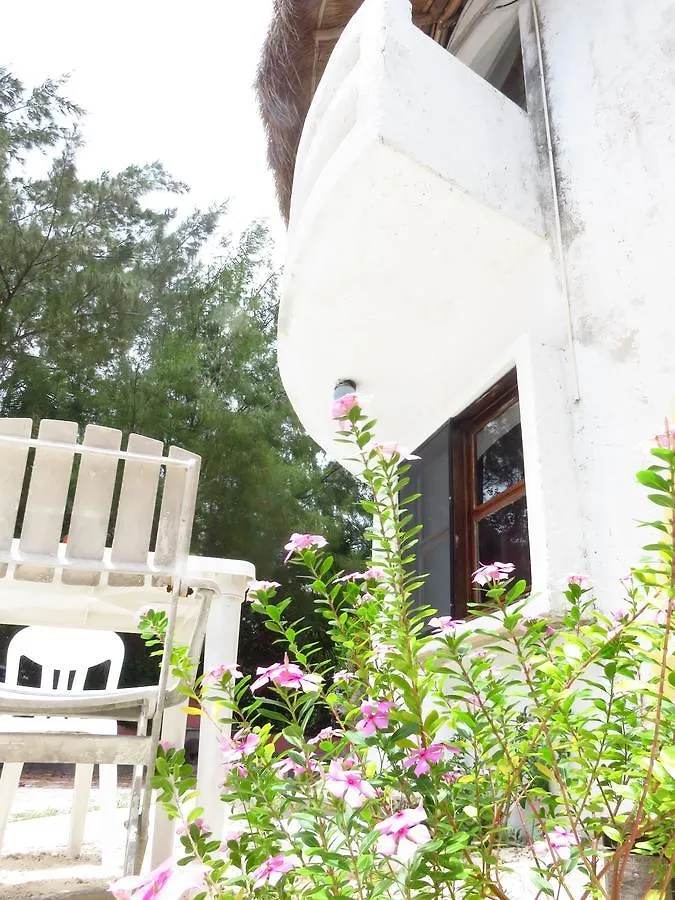 Acamaya Reef Cabanas Puerto Morelos Mexikó